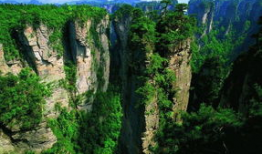 张家界吃瓜爆料,揭秘当地美食背后的故事