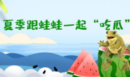 呱呱爆料在线吃瓜718,呱呱爆料带你领略网络热点风云